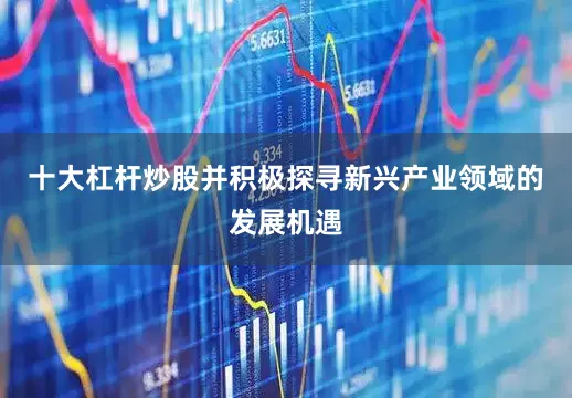 十大杠杆炒股并积极探寻新兴产业领域的发展机遇