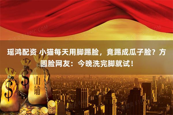 瑶鸿配资 小猫每天用脚踢脸,竟踢成瓜子脸?方圆脸网友:今晚洗完脚就试!